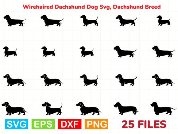 Wirehaired Dachshund Dog Svg Review